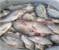 استقرار أسعار الأسماك في سوق العبور الجمعة 25 فبراير