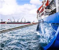                         حركة الصادرات والواردات والحاويات والبضائع اليوم بميناء دمياط البحري