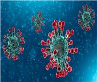 الصحة: تسجيل 1811 إصابة  جديدة بفيروس كورونا .. و 30 حالة وفاة