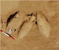 اكتشافات أثرية جديدة بـ«الأقصر» خلال الفترة القادمة 