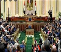 برلماني: المشروع القومي لتنمية الأسرة المصرية هدفه نشر الوعي 