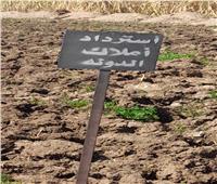 إزالة تعديات على أراضي أملاك الدولة واسترداد مساحة٢١٠٠م٢ بـ«غرب الأقصر»
