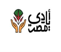 محافظ القليوبية يوجه ببدء تنفيذ مشروع «منصة أيادي مصر»