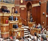 برلماني: عودة أبناء مصر من أوكرانيا يعكس حرص السيسي على حياة المواطن المصري