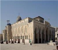 فلسطين تُحذر من مخاطر تفريغ المسجد الأقصى وفرض التقسيم بقوة الاحتلال