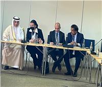 وزيرة البيئة: تكوين موقف عربي موحد تجاه القضايا البيئية الملحة 