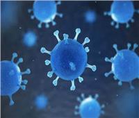 الصحة: تسجيل 1121 إصابة جديدة بفيروس كورونا .. و 13 حالة وفاة