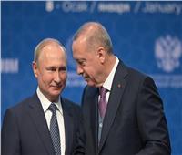 الكرملين يؤكد تحضير بوتين لمباحثات مع أردوغان‎‎