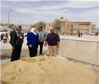 نائب محافظ القاهرة تتفقد أعمال التطوير بالمنطقة الصناعية في شق الثعبان