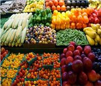 شعبة الخضروات والفاكهة: تغيير المناخ أثر سلبيًا على المنتجات الزراعية| فيديو