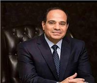 متحدث الرئاسة: مصر وروسيا تؤكدان متانة علاقات التعاون التاريخية