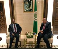 وزير الخارجية السوداني يلتقي سامح شكرى لتعزيز التعاون المشترك
