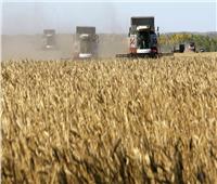 الزراعة الروسية: أمننا الغذائي مضمون وننتج هذا العام 123 مليون طن من الحبوب