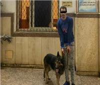 هاجم شخصا ومزق ملابسه.. ضبط المتهمين باصطحاب كلب دون ترخيص بكفر الشيخ