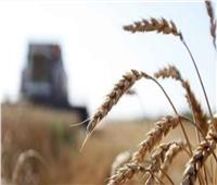 لبنان: مخزون القمح يكفي 45 يومًا