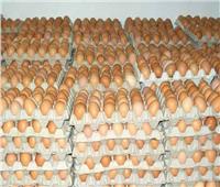 المواد الغذائية: أسعار البيض انخفضت إلى ٥١ جينهًا بدلاً من ٦٠ بعد القرارات الجديدة
