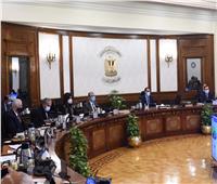 الوزراء يوافق على اتفاق « ستار» بين مصر والصندوق الدولي للتنمية الزراعية