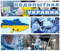 مسؤول روسي: مختبرات أوكرانيا هدفها التأثير على الجهاز التناسلي للمرأة