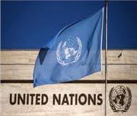 الأمم المتحدة: انطلاق الدورة السابعة للجنة الدستورية السورية هذا الأسبوع