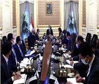 رئيس الوزراء يناقش عروض إقامة مشروعات الهيدروجين الأخضر في مصر