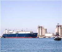 تعرف على حركة الصادرات والواردات والبضائع اليوم بـ«ميناء دمياط البحري»
