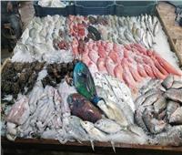أسعار الأسماك في سوق العبور الأربعاء 23 مارس 2022