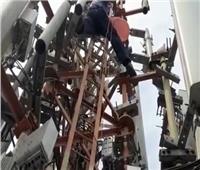 إنقاذ قط من أعلى برج اتصالات بالهند | فيديو
