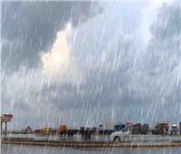 أمطار على طريق اسكندرية الزراعي ورعد وبرق في المحلة الكبرى ودمياط |صور  