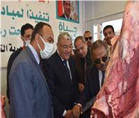 محافظ المنيا يفتتح منفذًا لبيع اللحوم المدعمة ضمن مشروع محاربة الغلاء