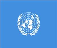 الأمم المتحدة تتصدى لقضايا الأرامل والتمييز العنصري ضد المرأة 