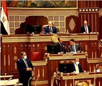 عمرو كمال يؤدي اليمين الدستورية أمام الشيوخ