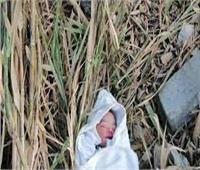 العثور على جثة طفل لقيط بجوار مسجد بأبو حمص بالبحيرة