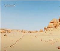 وادي الحيتان ومتحف الحفريات.. طبيعة مصرية ساحرة بالفيوم