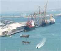 اقتصادية قناة السويس: ميناء السخنة يحقق معدلات نمو تتخطى الـ30%| إنفوجراف