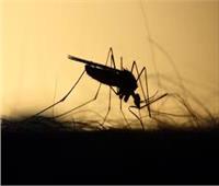 رغم أضرارها .. دراسة تشير لفاعلية ناموسيات جديدة في مكافحة الملاريا