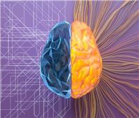 جدل علمي مُثير حول أسرار عمل الدماغ البشري