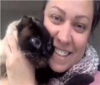 بعد 5 سنوات من اختفائها.. كندية تعثر على قطتها المفقودة    