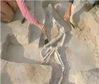 إعادة دفن أقدم رفات بشرية في أستراليا