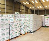 توزيع 2000 كرتونة مواد غذائية ضمن «حياه كريمة» لأهالي رأس غارب