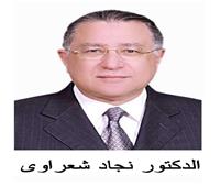 «المصرية اللبنانية»: لقاءات الحكومة بمجتمع الأعمال أسهمت في مواجهة الأزمة الأوكرانية