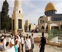 الرئاسة الفلسطينية تحذر من خطورة قيام المستوطنين بذبح القرابين في المسجد الأقصى