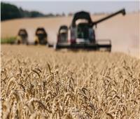 جوتيرش يحذر من إنقطاع إمدادات القمح عالميا بسبب الحرب الأوكرانية