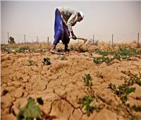 الأمم المتحدة تُحذر من تفاقم أزمة الغذاء في أفريقيا
