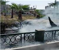 السيطرة على حريق في حديقة «الشلالات» بالإسكندرية| صور 