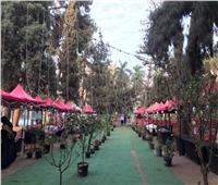 الزراعة: غدا افتتاح خيمة رمضانية في حديقة الأورمان على هامش معرض الزهور