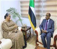 وزير الخارجية السوداني: المفاوضات والحوار هما الحل الأمثل لتسوية خلاف سد النهضة 