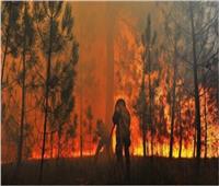 السيطرة على 143 حريقا مروعا في غابات روسيا