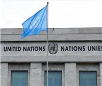 مصر تشارك في اجتماعات لجنة الأمم المتحدة للقانون الدولي