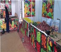  3 منافذ جديدة لبيع الخضراوات والفاكهة بأسعار مخفضة ببولاق والطالبية 