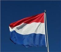 هولندا تعيد فتح سفارتها بأوكرانيا في مدينة لفيف